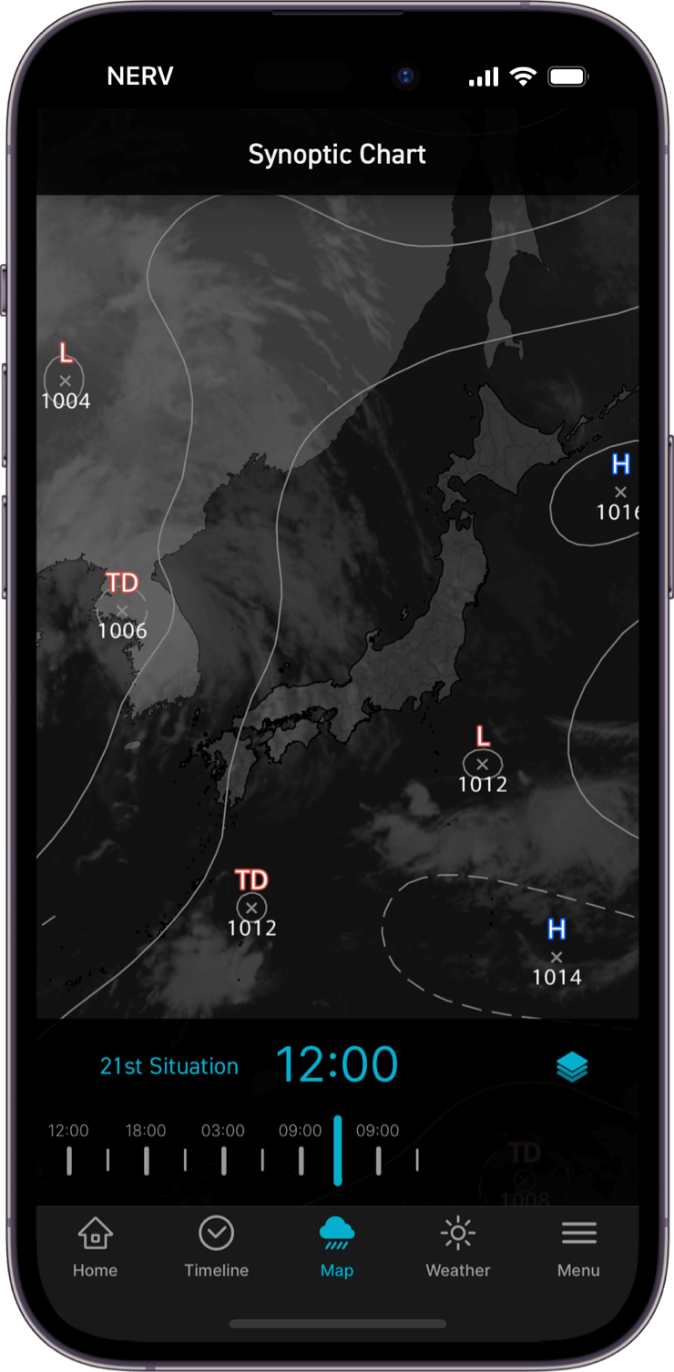 Synoptic Chart